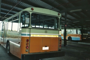 BUS 665-1