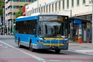 BUS 667-2