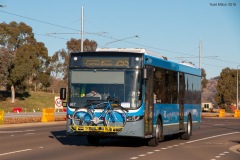 Bus-667-Flemington-Road