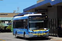 Bus-667-Woden-Bus-Station