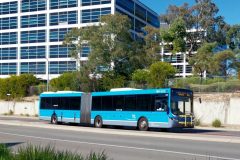 Bus 675 - Cohen Street