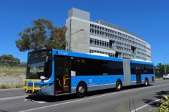 Bus681 Cohen Street