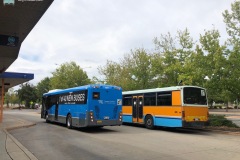 Bus687-Woden-Interchange-with-Bus974