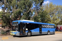 BUS695 - Woden Interchange