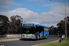 BUS698 - Noorooma Street