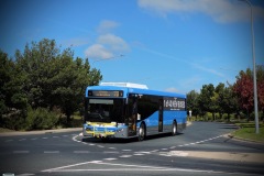 BUS700 - Ellerston Avenue