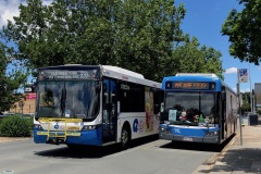 BUS702 & 8405MO - Morisset St