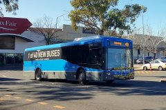 Bus703-Hardwick-1