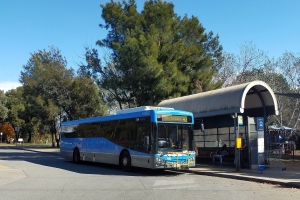 BUS 704-2