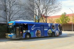 Bus 719 - Tuggeranong Interchange