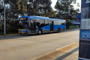 BUS 729-1