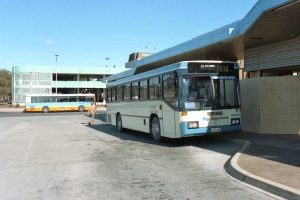 BUS 800-1