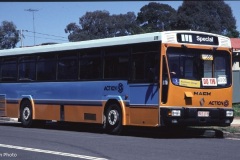 Bus-818-Sydney