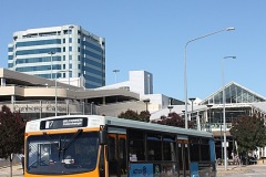 Bus-842-Ainslie-Avenue