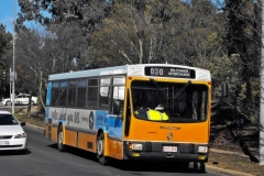 Bus-864-Eastern-Valley-Way