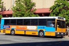 Bus-864-Tuggeranong-Interchange