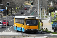 Bus-870-Emu-Bank