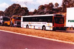 1999c-872203037-Mitchell