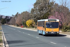 Bus-884-Ellerston-Avenue-2