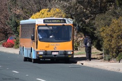 Bus-884-Ellerston-Avenue