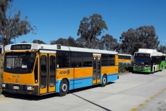 Bus-885-Cohen-St-Station