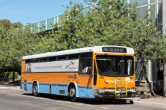 Bus-894-Woden-Bus-Station