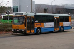 Bus-895-Woden-Interchange