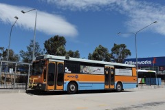 Bus-898-Cohen-Street-Bus-Station