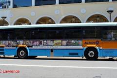 Bus-909-City-Interchange