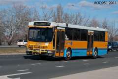 Bus-911-Commonwealth-Avenue
