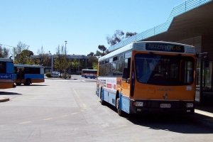 BUS 916