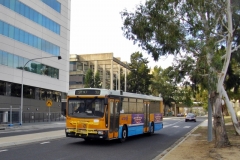 Bus-955-Cameron-Avenue