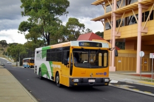 BUS 977