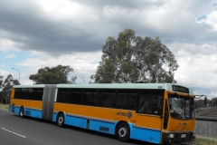 1_Bus-989