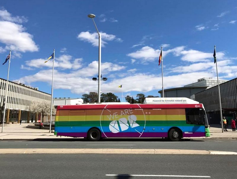 5 rainbow buses